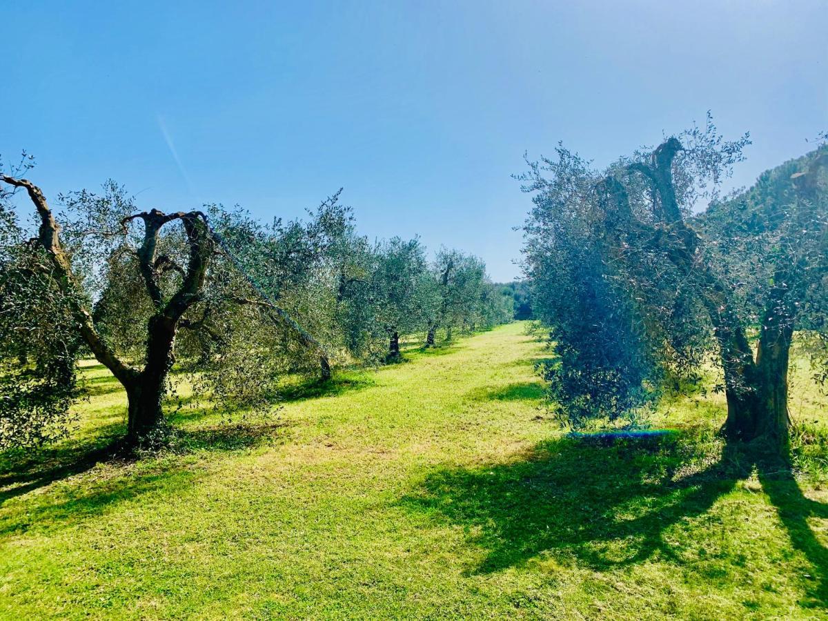 Апартаменты Il Borghetto Di Анседония Экстерьер фото